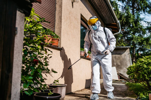 Best Rat Extermination Near Me  in Oconto, WI