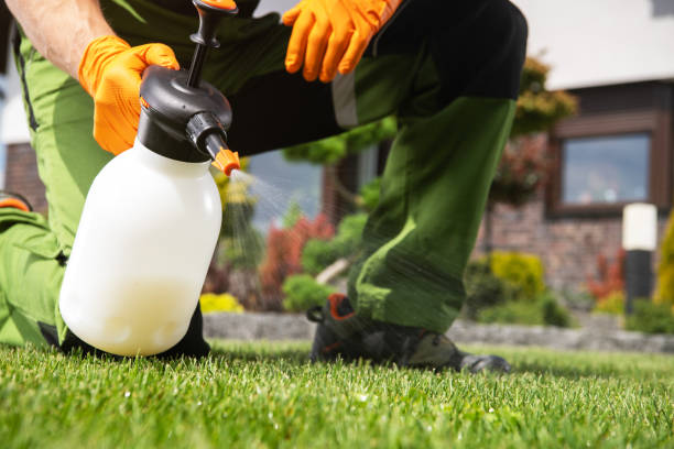 Best Residential Pest Control  in Oconto, WI