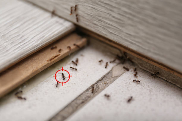 Oconto, WI Pest Control Company
