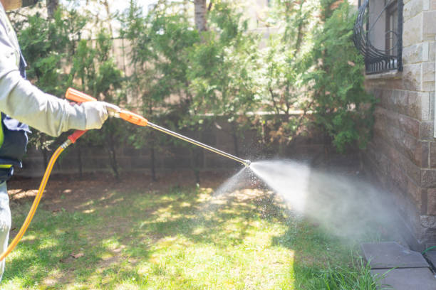 Best Mosquito Control Services  in Oconto, WI