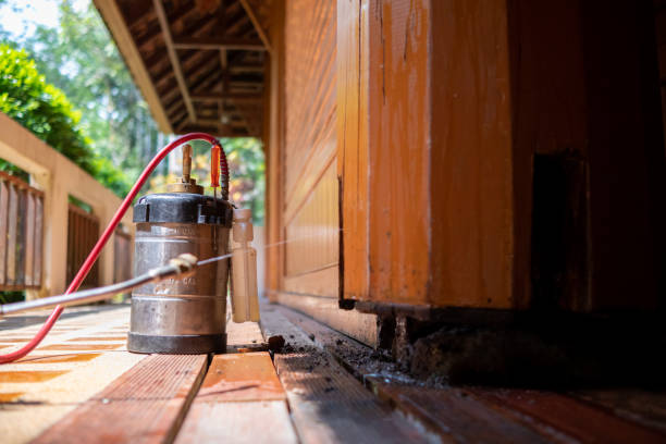 Best Ant Control Services  in Oconto, WI