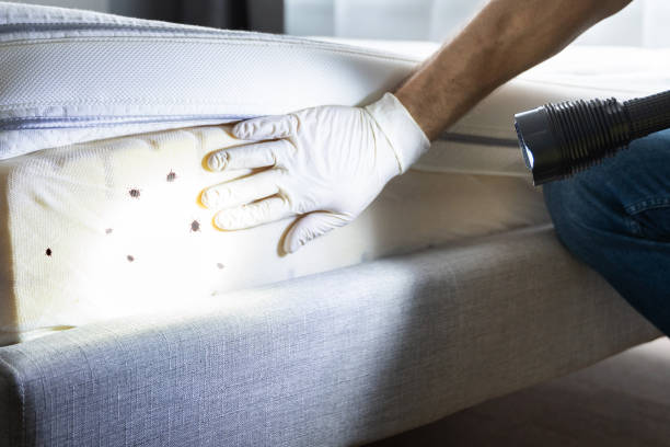 Best Pest Control Near Me  in Oconto, WI
