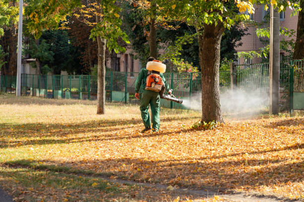 Best Spider Control Near Me  in Oconto, WI