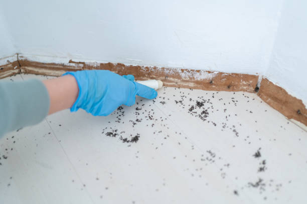 Pest Control for Restaurants in Oconto, WI