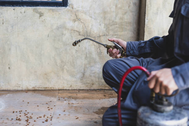 Best Pest Control Near Me  in Oconto, WI